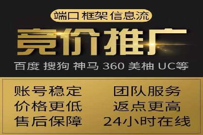 某某sem代运营公司：精准投放的背后策略